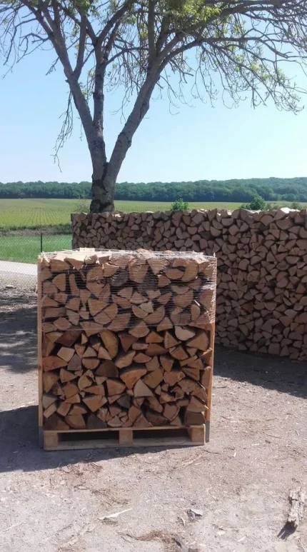 Bois de chauffage en palette 33 CM