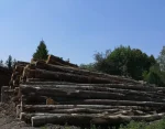 Camion de 20m3, Hêtre Chêne Charme en grume