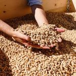 Granulés de bois en vrac (livraison avec camion souffleur)