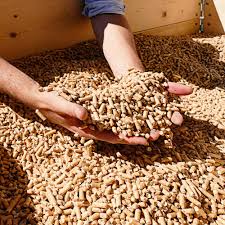 Granulés de bois en vrac (livraison avec camion souffleur)